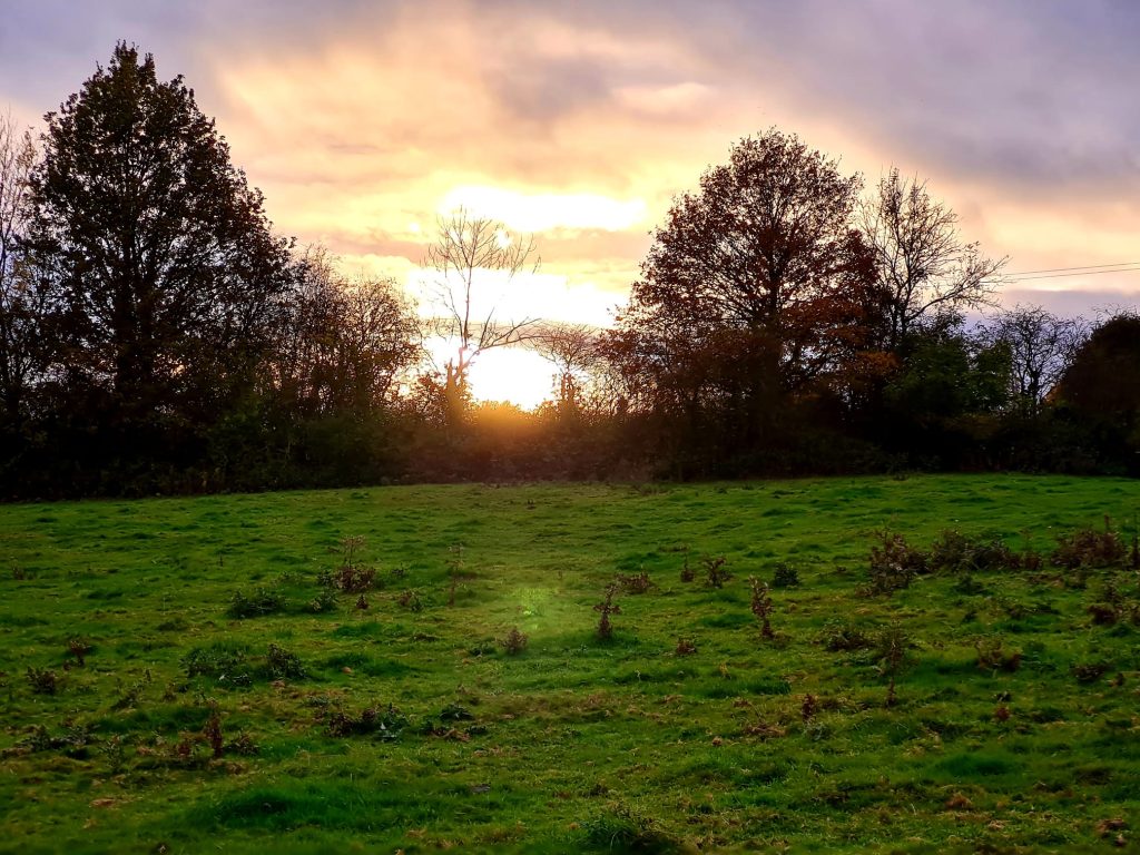 A Silkstone sunset