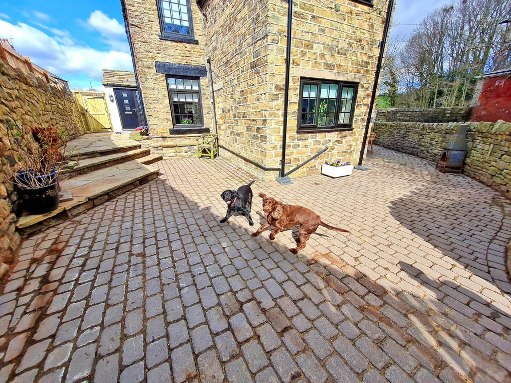 Secure Courtyard Garden the Cottage Silkstone