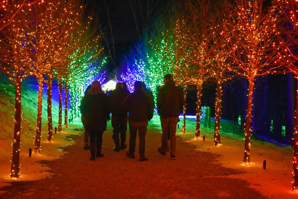 Festive Family Events Christmas Events in Barnsley- Lights, Markets and Festive Entertainment